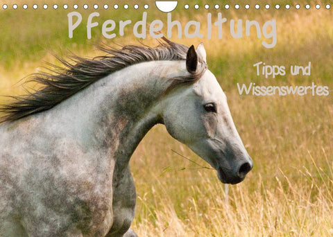 Pferdehaltung Tipps und Wissenswertes (Wandkalender 2022 DIN A4 quer)