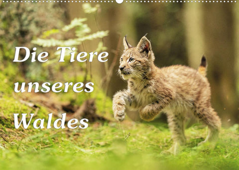 Die Tiere unseres Waldes (Wandkalender 2022 DIN A2 quer)