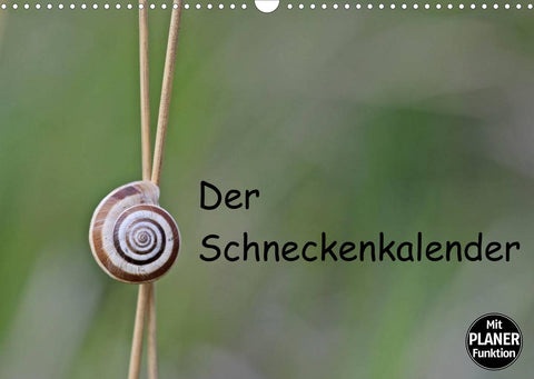 Der Schneckenkalender (Wandkalender 2022 DIN A3 quer)