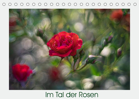 Im Tal der Rosen (Tischkalender 2022 DIN A5 quer)