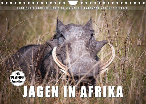 Emotionale Momente: Jagen in Afrika. (Wandkalender 2022 DIN A4 quer)