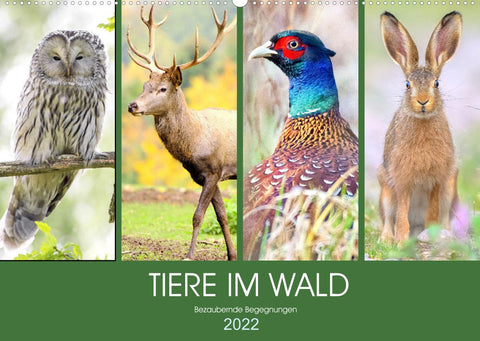 Tiere im Wald. Bezaubernde Begegnungen (Wandkalender 2022 DIN A2 quer)