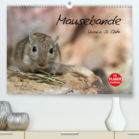 Mausebande (Premium, hochwertiger DIN A2 Wandkalender 2022, Kunstdruck in Hochglanz)
