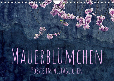 Mauerblümchen - Poesie im Alltäglichen (Wandkalender 2022 DIN A4 quer)