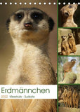 Erdmännchen-Meerkats-Surikate (