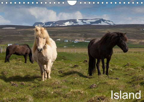 Island (Wandkalender 2022 DIN A4 quer)