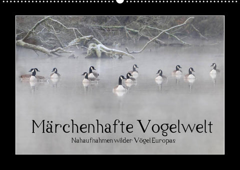 Märchenhafte Vogelwelt (Wandkalender 2022 DIN A2 quer)
