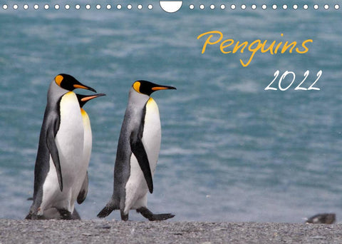 Penguins 2022 (Wall Calendar 2022 DIN A4 Landscape)