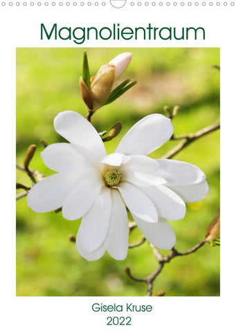 Magnolientraum (Wandkalender 2022 DIN A3 hoch)
