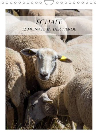 Schafe - 12 Monate in der Herde (Wandkalender 2022 DIN A4 hoch)