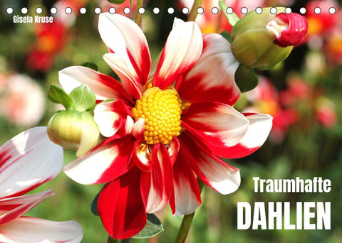 Traumhafte Dahlien (Tischkalender 2022 DIN A5 quer)