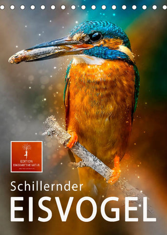 Schillernder Eisvogel (Tischkalender 2022 DIN A5 hoch)