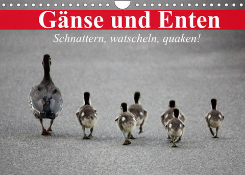 Gänse und Enten. Schnattern, watscheln, quaken! (Wandkalender 2022 DIN A4 quer)