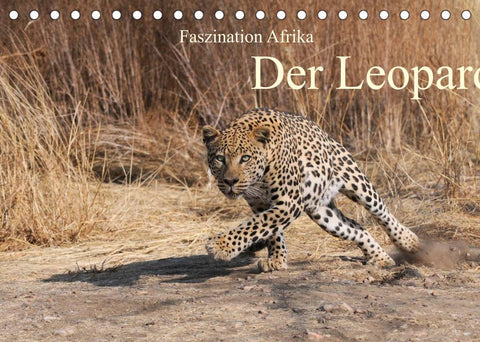 Faszination Afrika: Der Leopard (Tischkalender 2022 DIN A5 quer)