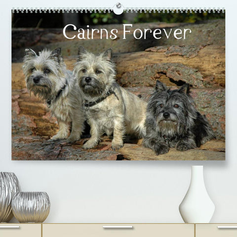 Cairns Forever (Premium, hochwertiger DIN A2 Wandkalender 2022, Kunstdruck in Hochglanz)