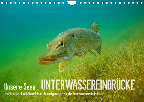 Unsere Seen (Wandkalender 2022 DIN A4 quer)