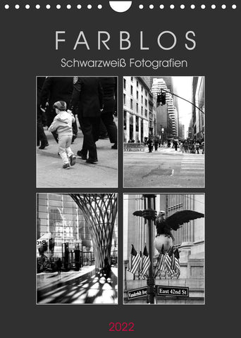 F A R B L O S - Schwarzweiß Fotografien (Wandkalender 2022 DIN A4 hoch)