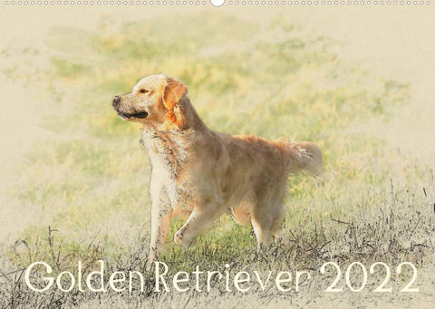 Golden Retriever 2022 (Wandkalender 2022 DIN A2 quer)