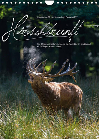 Emotionale Momente: Hirschbrunft (Wandkalender 2022 DIN A4 hoch)