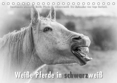 Emotionale Momente: Weiße Pferde in schwarzweiß. (Tischkalender 2022 DIN A5 quer)