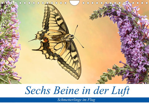 Sechs Beine in der Luft - Schmetterlinge im Flug (Wandkalender 2022 DIN A4 quer)