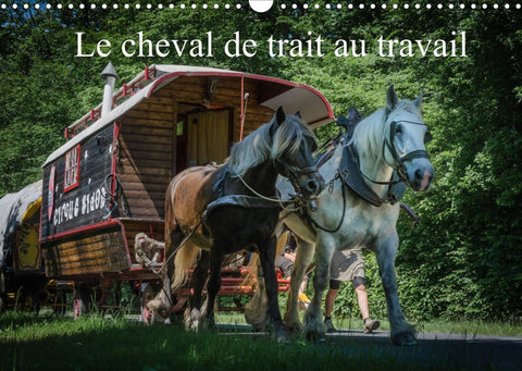 Le cheval de trait au travail (Calendrier mural 2022 DIN A3 horizontal)