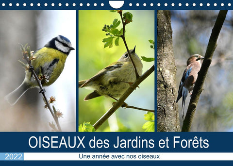 OISEAUX des Jardins et Forêts (Calendrier mural 2022 DIN A4 horizontal)