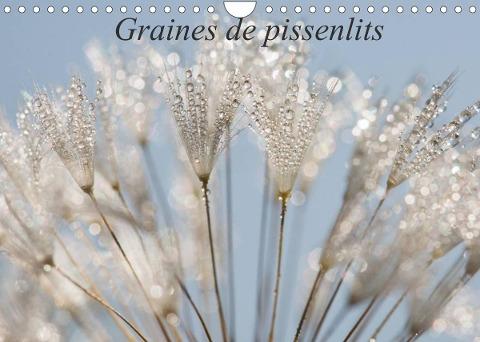 Graines de pissenlits (Calendrier mural 2022 DIN A4 horizontal)