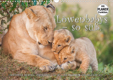 Emotionale Momente: Löwenbabys - so süß. (Wandkalender 2022 DIN A3 quer)