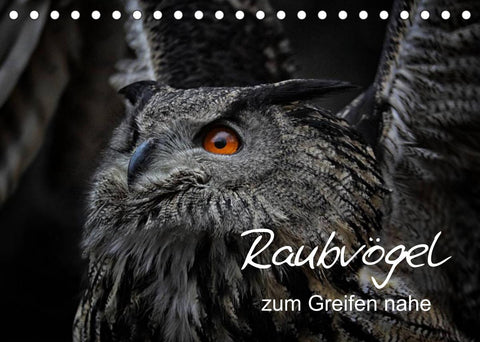 Raubvögel zum Greifen nahe (Tischkalender 2022 DIN A5 quer)