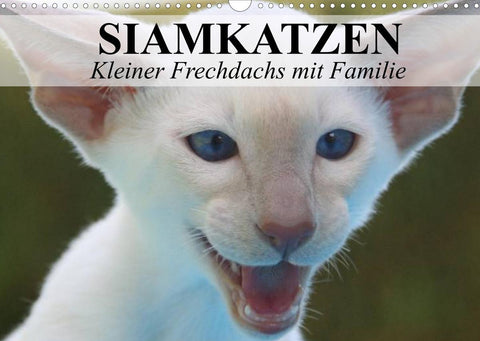 Siamkatzen - Kleiner Frechdachs mit Familie (Wandkalender 2022 DIN A3 quer)