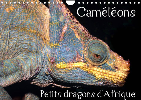 Caméléons - Petits dragons d'Afrique. (Calendrier mural 2022 DIN A4 horizontal)