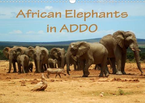 African Elephants in ADDO (Wall Calendar 2022 DIN A3 Landscape)