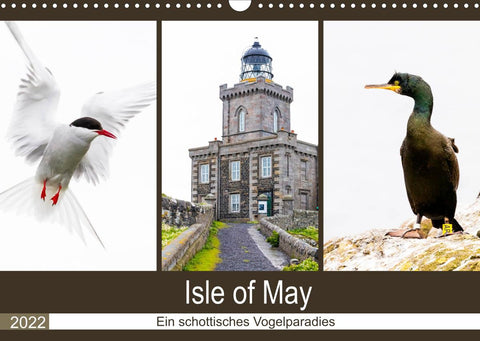 Isle of May - Ein schottisches Vogelparadies (Wandkalender 2022 DIN A3 quer)