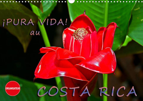 ¡Pura Vida!  au Costa Rica (Calendrier mural 2022 DIN A3 horizontal)