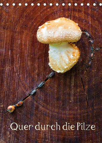 Quer durch die Pilze (Tischkalender 2022 DIN A5 hoch)