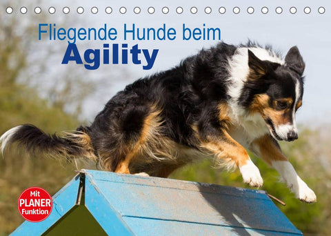 Fliegende Hunde beim Agility (Tischkalender 2022 DIN A5 quer)
