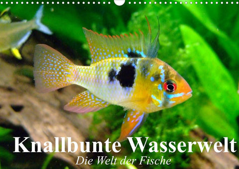 Knallbunte Wasserwelt. Die Welt der Fische (Wandkalender 2022 DIN A3 quer)