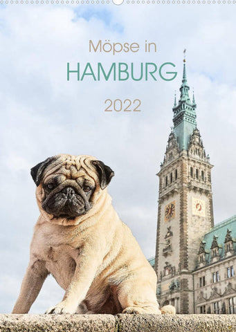 Möpse in Hamburg (Wandkalender 2022 DIN A2 hoch)