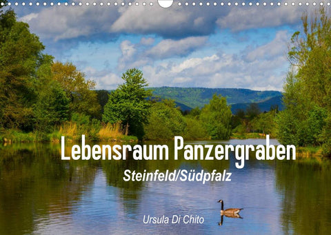 Lebensraum Panzergraben (Wandkalender 2022 DIN A3 quer)
