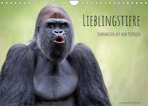 Lieblingstiere - Schönheiten aus dem Tierreich (Wandkalender 2022 DIN A4 quer)