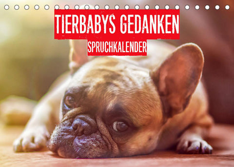 Tierbabies Gedanken Spruchkalender (Tischkalender 2022 DIN A5 quer)