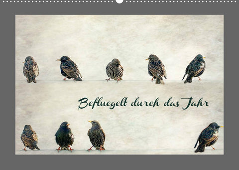 Beflügelt durch das Jahr (Wandkalender 2022 DIN A2 quer)