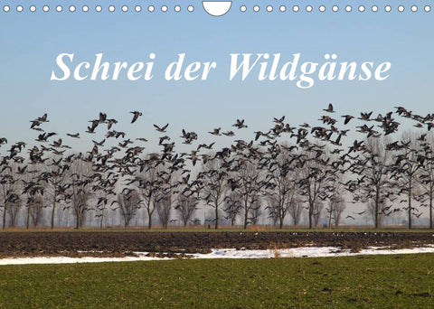 Schrei der Wildgänse (Wandkalender 2022 DIN A4 quer)