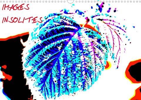 Images insolites (Calendrier mural 2022 DIN A3 horizontal)