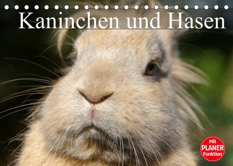 Kaninchen und Hasen (Tischkalender 2022 DIN A5 quer)
