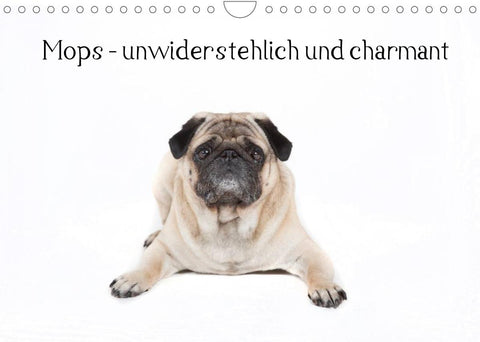 Mops - unwiderstehlich und charmant (Wandkalender 2022 DIN A4 quer)