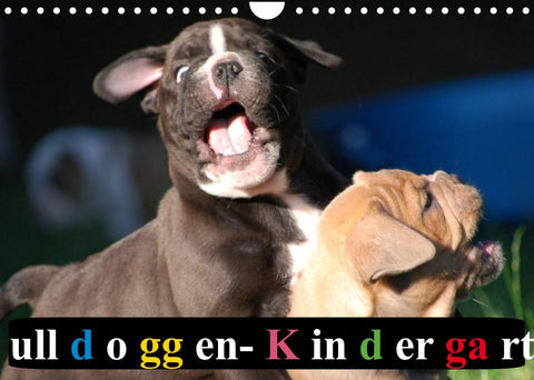 Bulldoggen-Kindergarten (Wandkalender 2022 DIN A4 quer)