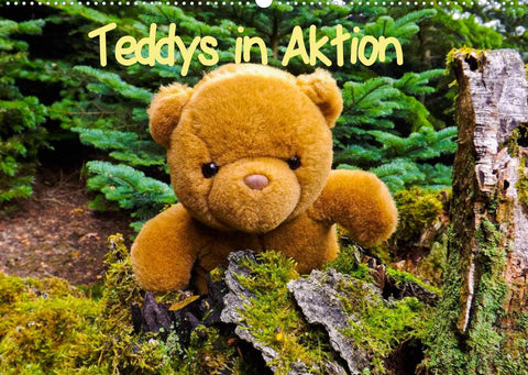 Teddys in AktionCH-Version (Wandkalender 2022 DIN A2 quer)