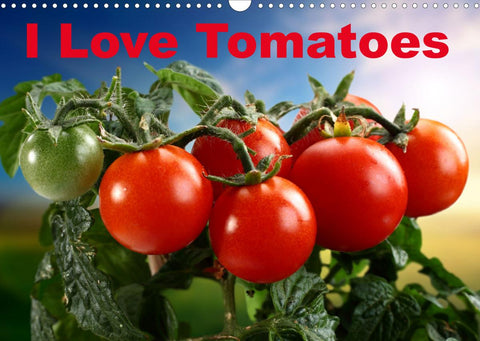 I Love Tomatoes (Wall Calendar 2022 DIN A3 Landscape)
